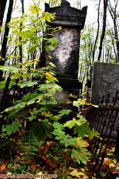 IMG_ (10517)